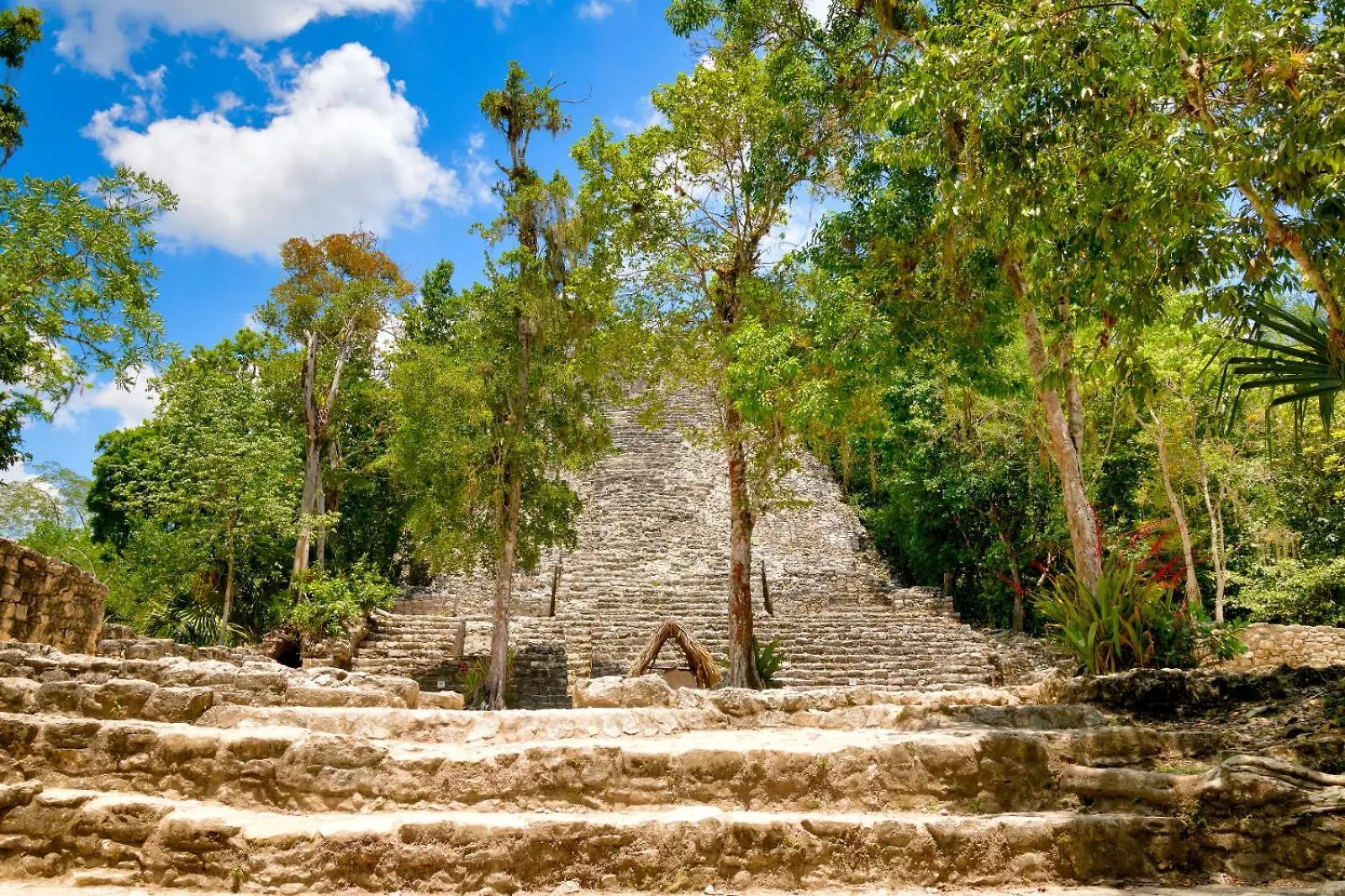 Canopy Cove Loft Private Jacuzzi Parking & B-Club Tulum