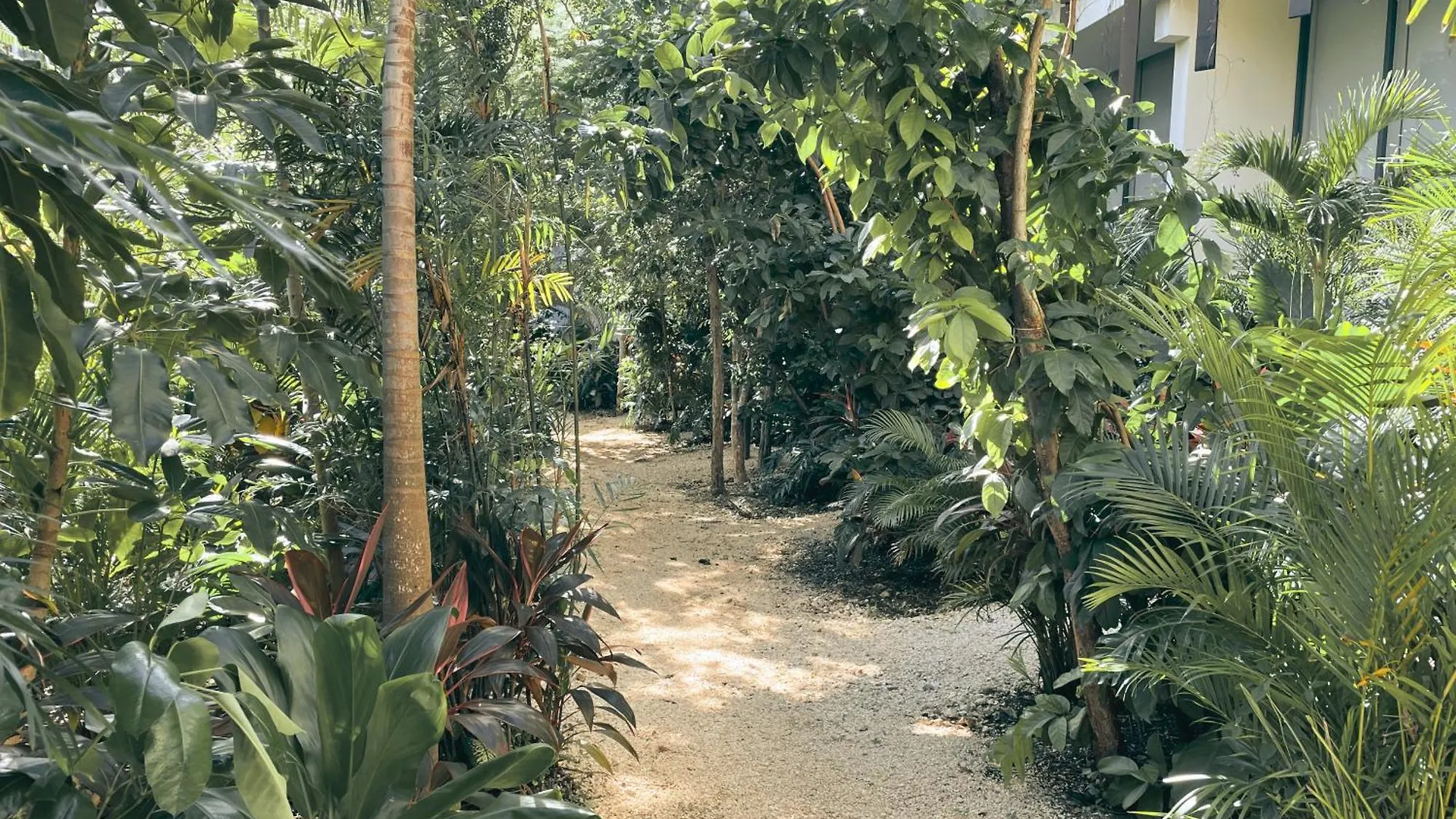 Apartment Canopy Cove Loft Private Jacuzzi Parking & B-Club Tulum Mexico