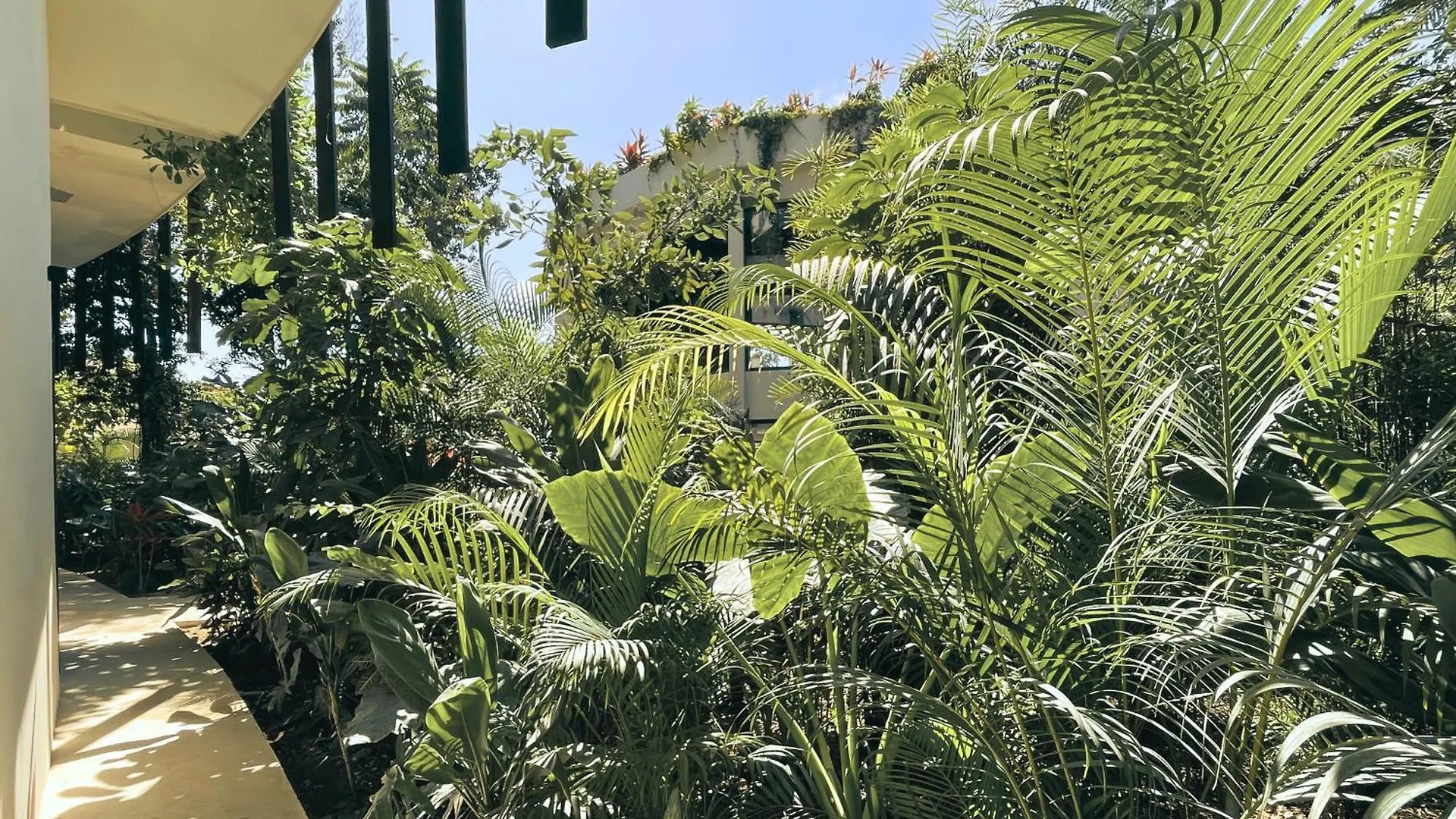 Canopy Cove Loft Private Jacuzzi Parking & B-Club Tulum Mexico
