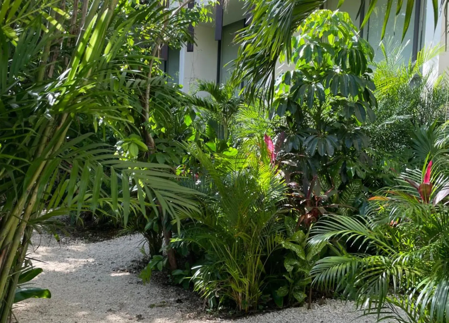 Canopy Cove Loft Private Jacuzzi Parking & B-Club Tulum Apartment